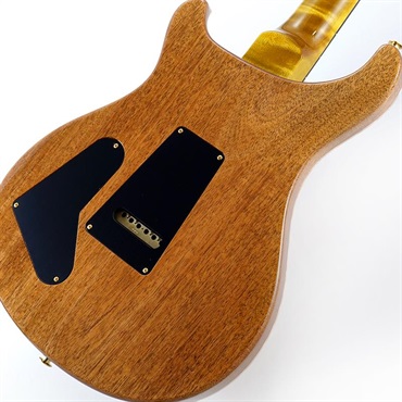 P.R.S. 【Paul Reed Smith氏サインイン入りバックプレート付属！】 Ikebe 50th Anniversary Wood Library Special Semi-Hollow (Honey Gold) SN.0401654 画像7