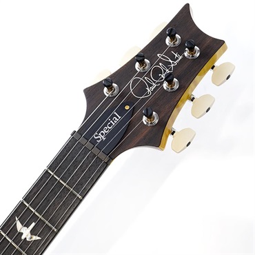 P.R.S. 【Paul Reed Smith氏サインイン入りバックプレート付属！】 Ikebe 50th Anniversary Wood Library Special Semi-Hollow (Honey Gold) SN.0401654 画像8