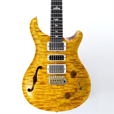 P.R.S. 【Paul Reed Smith氏サインイン入りバックプレート付属！】 Ikebe 50th Anniversary Wood Library Special Semi-Hollow (Honey Gold) SN.0401654 画像10