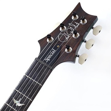 P.R.S. Ikebe 50th Anniversary Wood Library Special Semi-Hollow (Teal) [SN.0402032] 【2025年生産品】 画像8