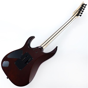 Ibanez j.custom Axe Design Lab RG8870-BSR (Brownish Sphalerite) [SPOT MODEL] SN.F2427487 画像2