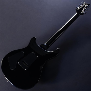 P.R.S. Custom 24 ''Floyd'' (Custom Color) #0401086【2025年生産品】 画像5