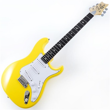 P.R.S. SE Silver Sky Rosewood (Dandy Lion) [John Mayer Model] SN.CTIH033775 【2025年生産品】 画像1