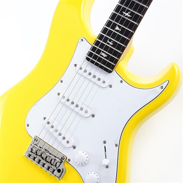 P.R.S. SE Silver Sky Rosewood (Dandy Lion) [John Mayer Model] SN.CTIH033775 【2025年生産品】 画像3