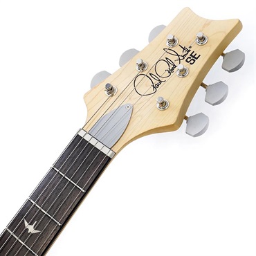 P.R.S. SE Silver Sky Rosewood (Dandy Lion) [John Mayer Model] SN.CTIH033775 【2025年生産品】 画像8
