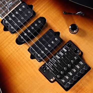 Ibanez j.custom Axe Design Lab RG8870-BSR (Brownish Sphalerite) [SPOT MODEL] 画像3