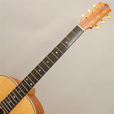 MATON EBG808 Artist #29852 メイトン 画像8