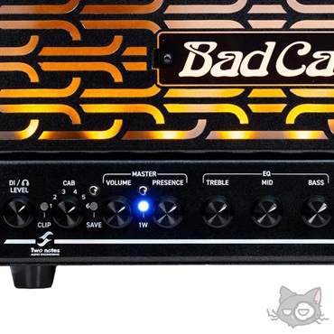 Bad Cat OCELOT (オセロット) 【数量限定「真っ黒」Tシャツプレゼント！】 画像3