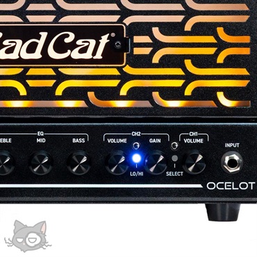 Bad Cat OCELOT (オセロット) 【数量限定「真っ黒」Tシャツプレゼント！】 画像4