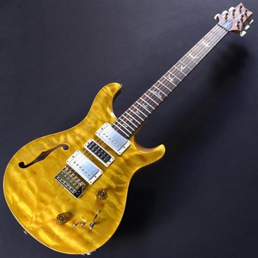 P.R.S. Ikebe 50th Anniversary Wood Library Special Semi-Hollow (Honey Gold) #0402029【2025年生産品】 画像1