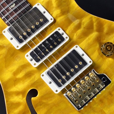 P.R.S. Ikebe 50th Anniversary Wood Library Special Semi-Hollow (Honey Gold) #0402029【2025年生産品】 画像3