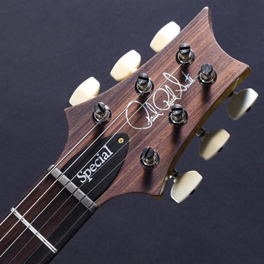 P.R.S. Ikebe 50th Anniversary Wood Library Special Semi-Hollow (Honey Gold) #0402029【2025年生産品】 画像4