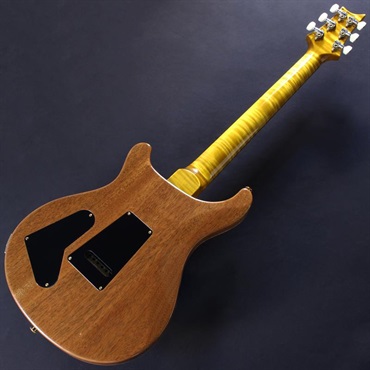 P.R.S. Ikebe 50th Anniversary Wood Library Special Semi-Hollow (Honey Gold) #0402029【2025年生産品】 画像5