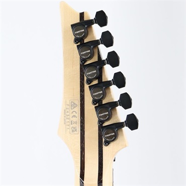 Ibanez j.custom Axe Design Lab RG8870-SDE (Sodalite) [SPOT MODEL] 画像9