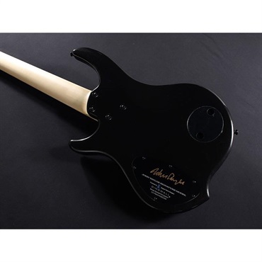 DINGWALL JT-3 5st John Taylor Signature Model (Metallic Black/PF) 画像9