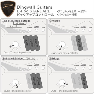 DINGWALL D-Roc Standard 4strings (Ducati Matte Pearl White) 画像10