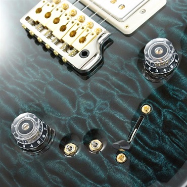 P.R.S. Ikebe 50th Anniversary Wood Library Special Semi-Hollow (Custom Color) [SN.0404913] 【2025年生産品】 画像5
