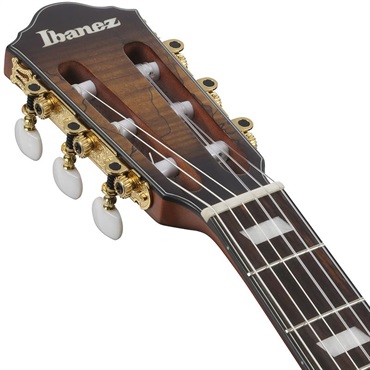 Ibanez FRH20SMN-TCL (Tobacco Burst Low Gloss) [SPOT MODEL] 画像6