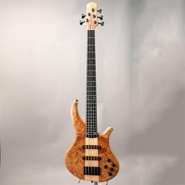 Phoenix PH9-5 Burl Maple 【夏先取り大特価セール】 画像1