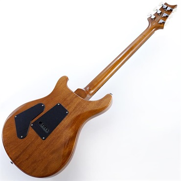 P.R.S. Ikebe Exclusive SE Custom 24 Spalted Veneer (Natural)　SN.CTIH052286 【2025年生産品】 画像2