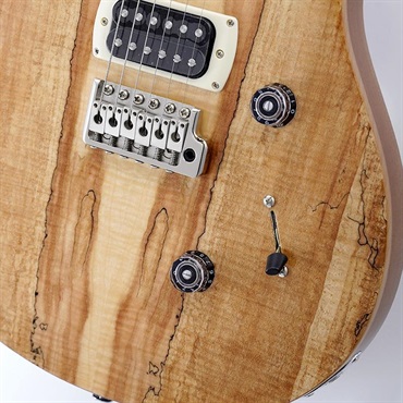 P.R.S. Ikebe Exclusive SE Custom 24 Spalted Veneer (Natural)　SN.CTIH052286 【2025年生産品】 画像4