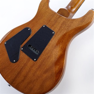 P.R.S. Ikebe Exclusive SE Custom 24 Spalted Veneer (Natural)　SN.CTIH052286 【2025年生産品】 画像7