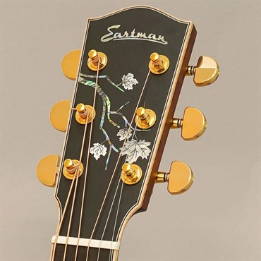 EASTMAN 【現地選定品】AC622CE #M2532006 画像10
