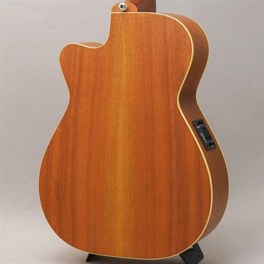 MATON EBG808C TE - Tommy Emmanuel - メイトン 画像1