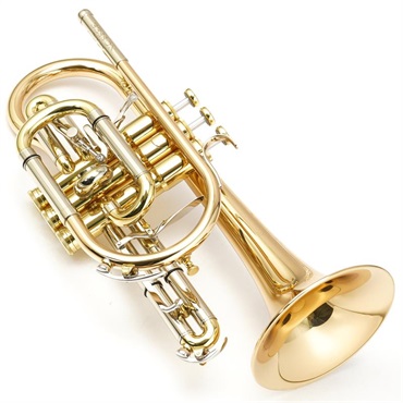Besson ベッソン / BE928GT-1-0 Sovereign 【Bb コルネット】 【ロジャー・ウェブスター氏選定品】【出荷前調整で安心】 画像1