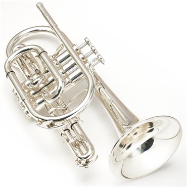 Besson ベッソン / BE928GT-2-0 Sovereign 【Bb コルネット】 【ロジャー・ウェブスター氏選定品】【出荷前調整で安心】 画像1