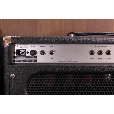 Two-Rock Silver Sterling Signature 100Watt Head Black Tolex 画像6