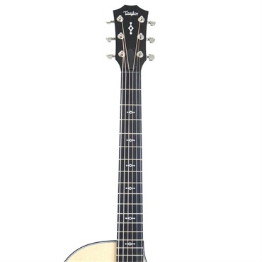 TAYLOR Next Generation 314ce テイラー 画像2