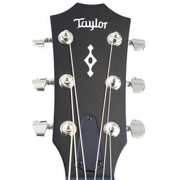 TAYLOR Next Generation 314ce テイラー 画像3