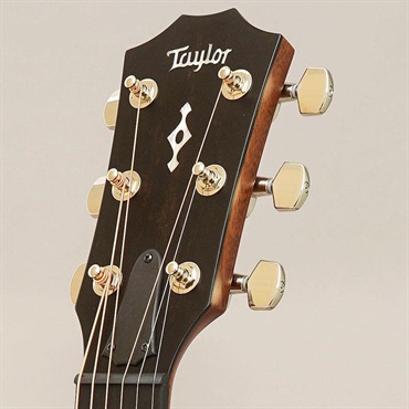 TAYLOR Next Generation 314ce テイラー 画像10