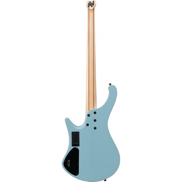 Ibanez EHB600-PRM [SPOT MODEL] 画像1
