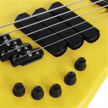 DINGWALL Lee Sklar Signature LSS5-FY with Rupert Neve Onboard Preamp [2026 NAMM Model] 画像2