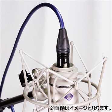 Noah’sark 【先取り大特価セール】PASSGO BLUE TS PHONE Cable (3.0m)(パスゴーブルー)(ラインケーブル/ギターケーブル/楽器用ケーブル)(Phone-Phone)(6.3(2極)-6.3(2極)， ｽﾄﾚｰﾄ-ｽﾄﾚｰﾄ)(日本製) 画像5