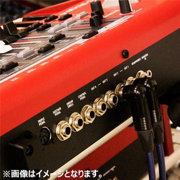 Noah’sark 【先取り大特価セール】PASSGO BLUE TS PHONE Cable (3.0m)(パスゴーブルー)(ラインケーブル/ギターケーブル/楽器用ケーブル)(Phone-Phone)(6.3(2極)-6.3(2極)， ｽﾄﾚｰﾄ-ｽﾄﾚｰﾄ)(日本製) 画像8