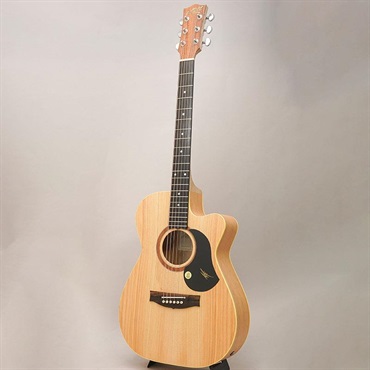 MATON PERFORMER メイトン 画像2