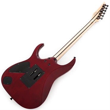 Ibanez j.custom Axe Design Lab RG8870-AGT SN.F2615744 画像2