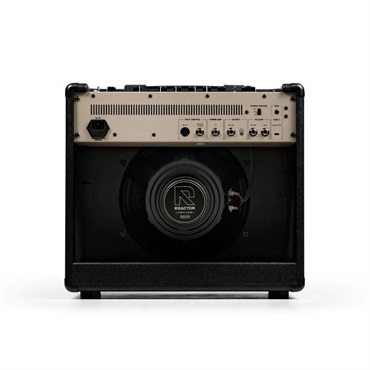 Positive Grid REACTOR 50【ご予約受付中】（8月入荷） 画像2