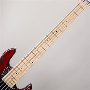 Sadowsky Guitars MetroLine 21-Fret Vintage J/J Bass 5st (SBG) [Ikebe 50th Anniversary Special Edition] #005984 画像4