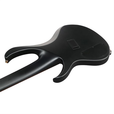 Ibanez BTB605LM-BKF 画像3