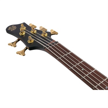 Ibanez BTB605LM-BKF 画像4