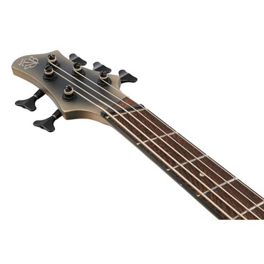 Ibanez BTB605MS-SOM [SPOT MODEL] 画像4