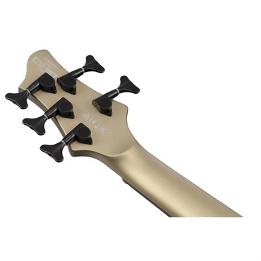 Ibanez BTB605MS-SOM [SPOT MODEL] 画像5