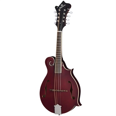 Epiphone F-5 Studio (Wine Red） エピフォン 画像2