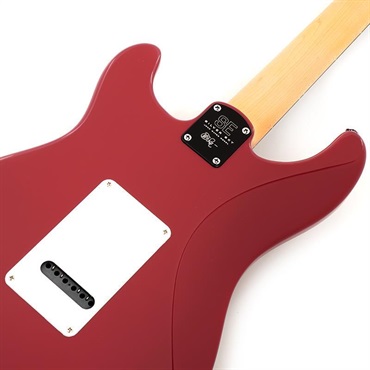 P.R.S. SE Silver Sky Rosewood (Derby Red) CTIH031797 【2025年生産品】 画像5