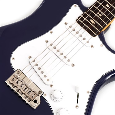 P.R.S. SE Silver Sky Rosewood (Trad Blue) CTIH033388 【2025年生産品】 画像3
