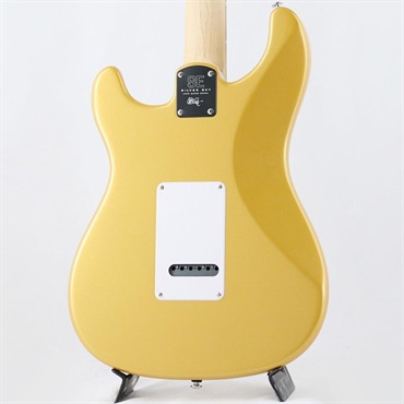 P.R.S. SE Silver Sky Rosewood Limited Colors (Gold Spark) [SN.CTI H075322] [John Mayer Model] 【2025年生産品】【限定カラー】 画像3
